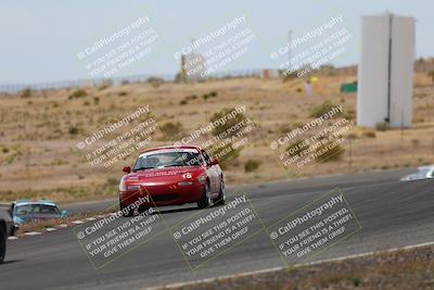 media/May-03-2025-Lucky Dog Racing (Sat) [[206de64b9d]]/Turn 6 (150pm-230pm)/